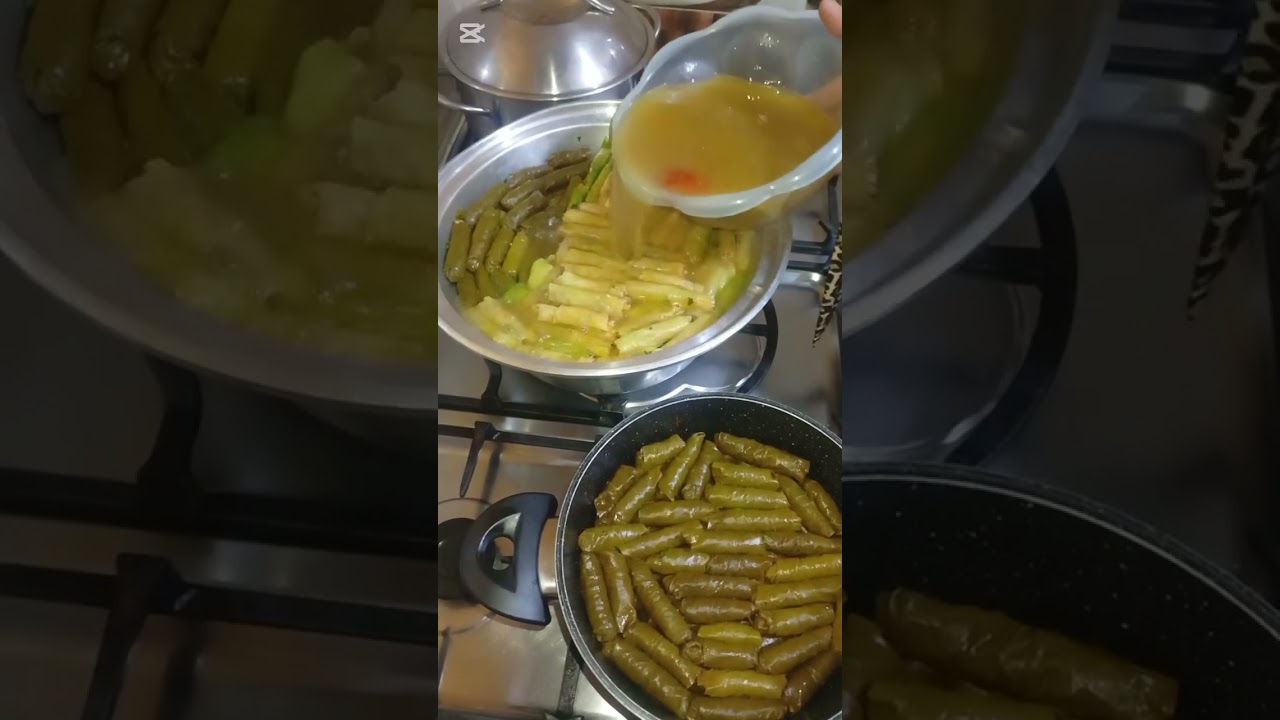 ٤ مارس ٢٠٢٦