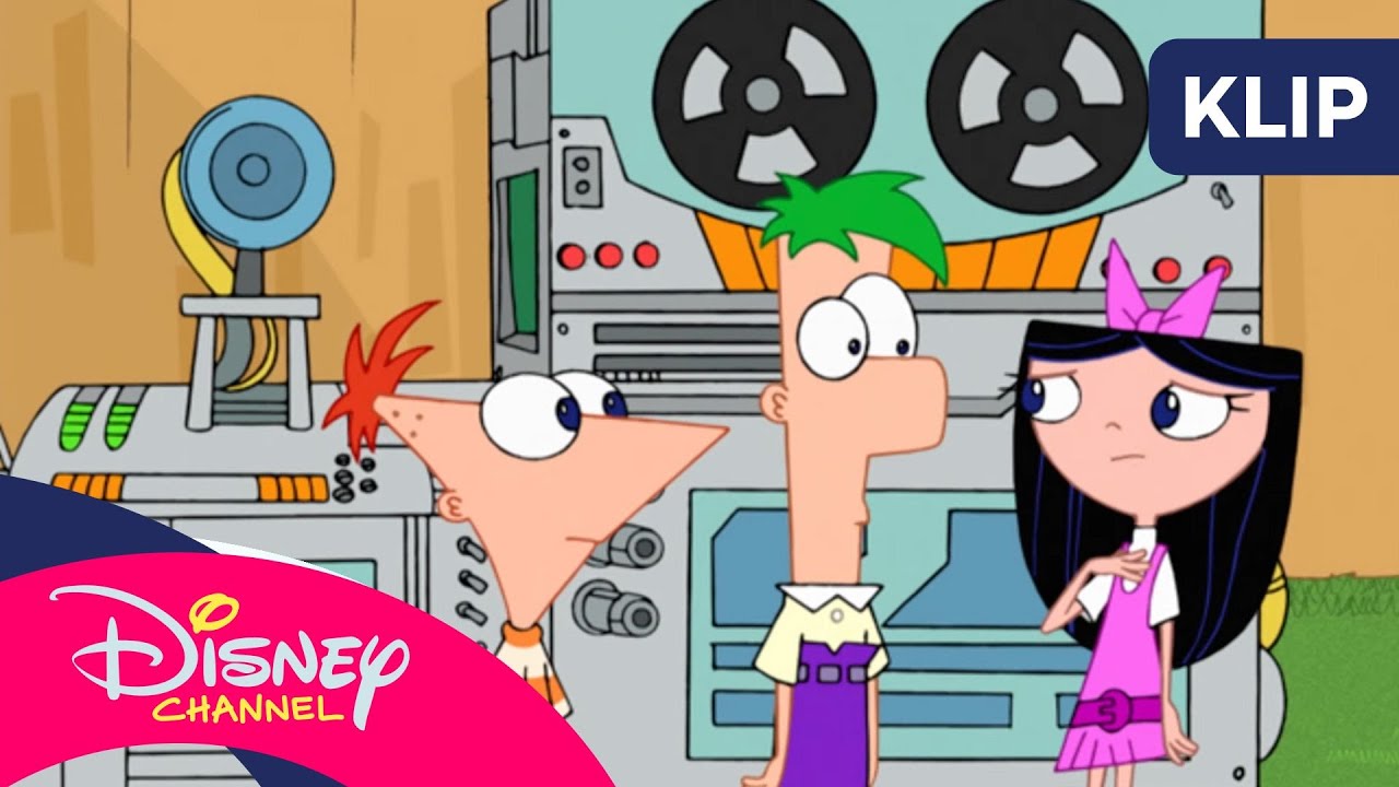 🐒 Zwierzakotłumacz | Fineasz i Ferb | Disney Channel Polska