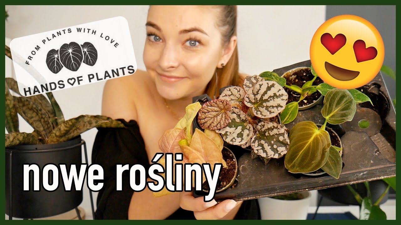 Znowu kupiłam rośliny - czy to się kiedyś skończy? | kiermasz Hands of Plants