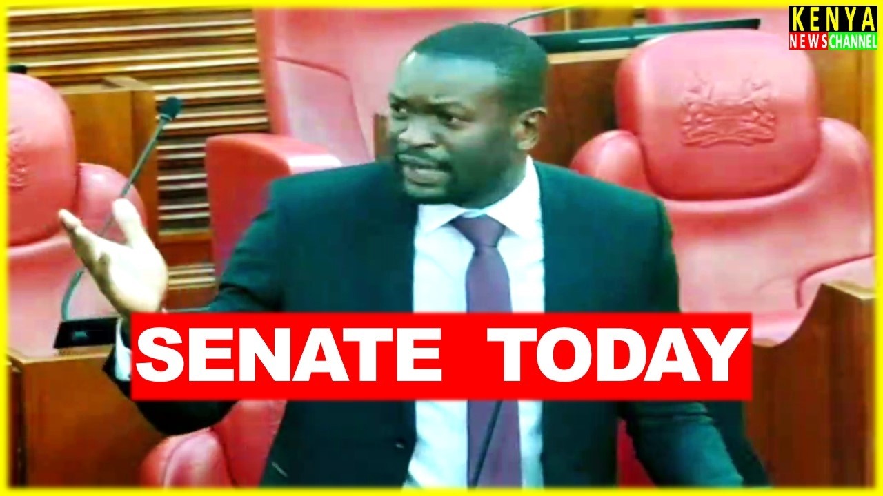 Senators SILENT as Brilliant Edwin Sifuna SPITS WISDOM in Senate today