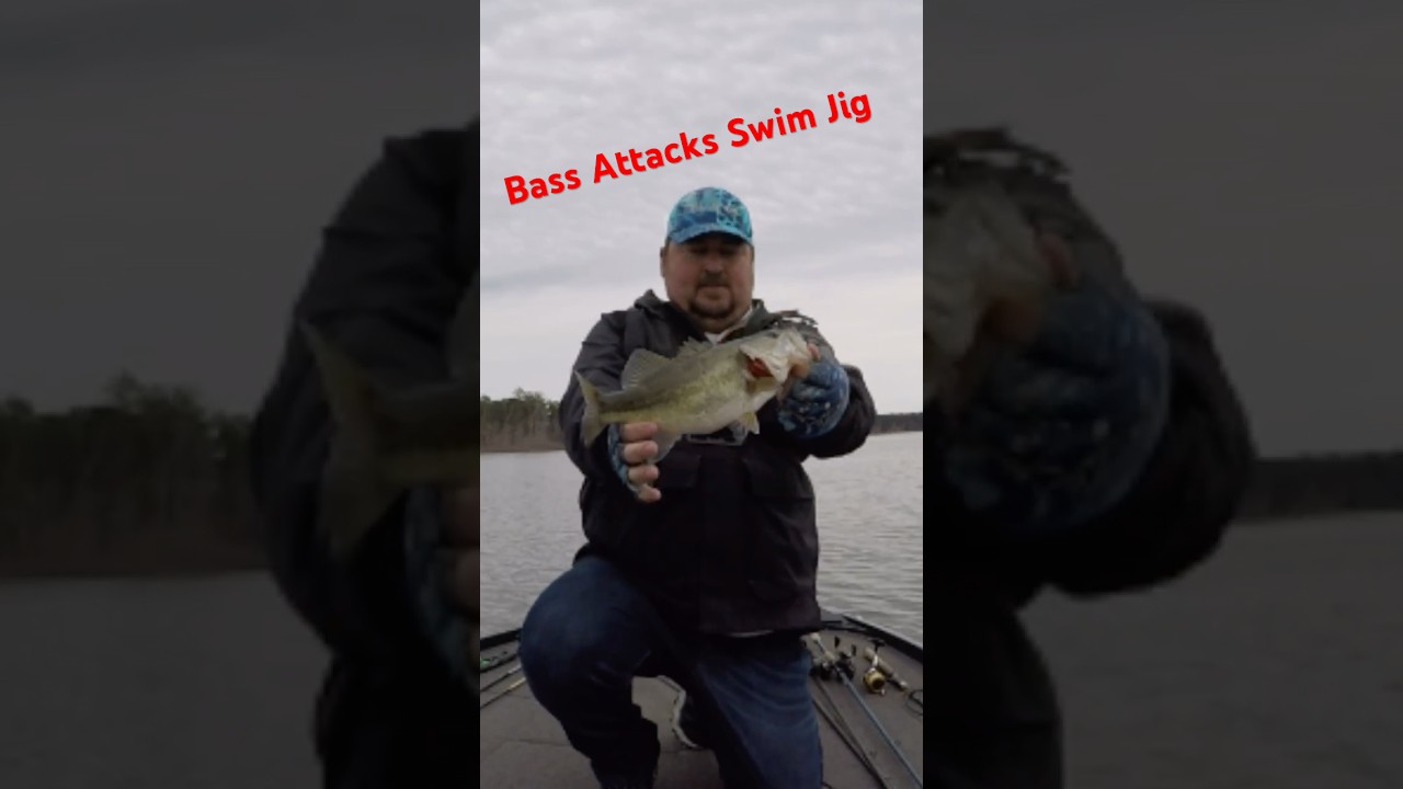 Swim Jig Gets Hammered in Shallow Water 