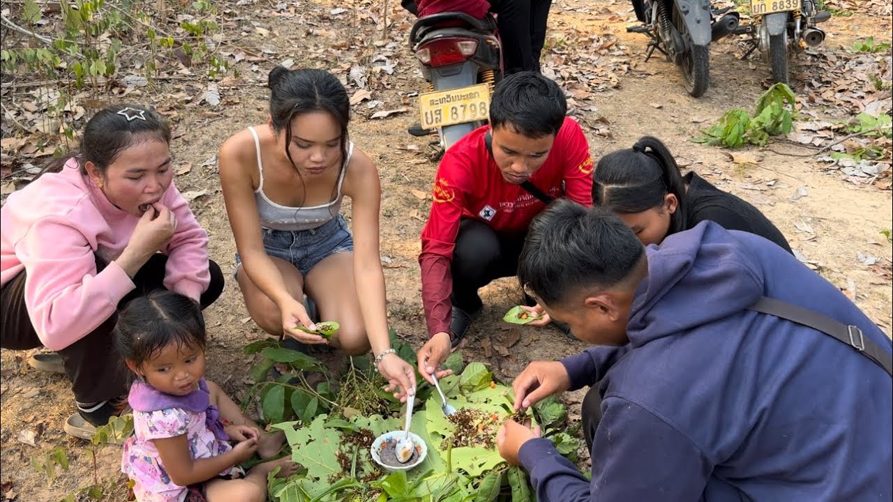 กินเมี่ยงแม่เป้งมดแดงห่อผักกะโดน🇱🇦ກິນໝ້ຽງແມ່ເປ້ງຫໍ່ຜັກກະໂດນ