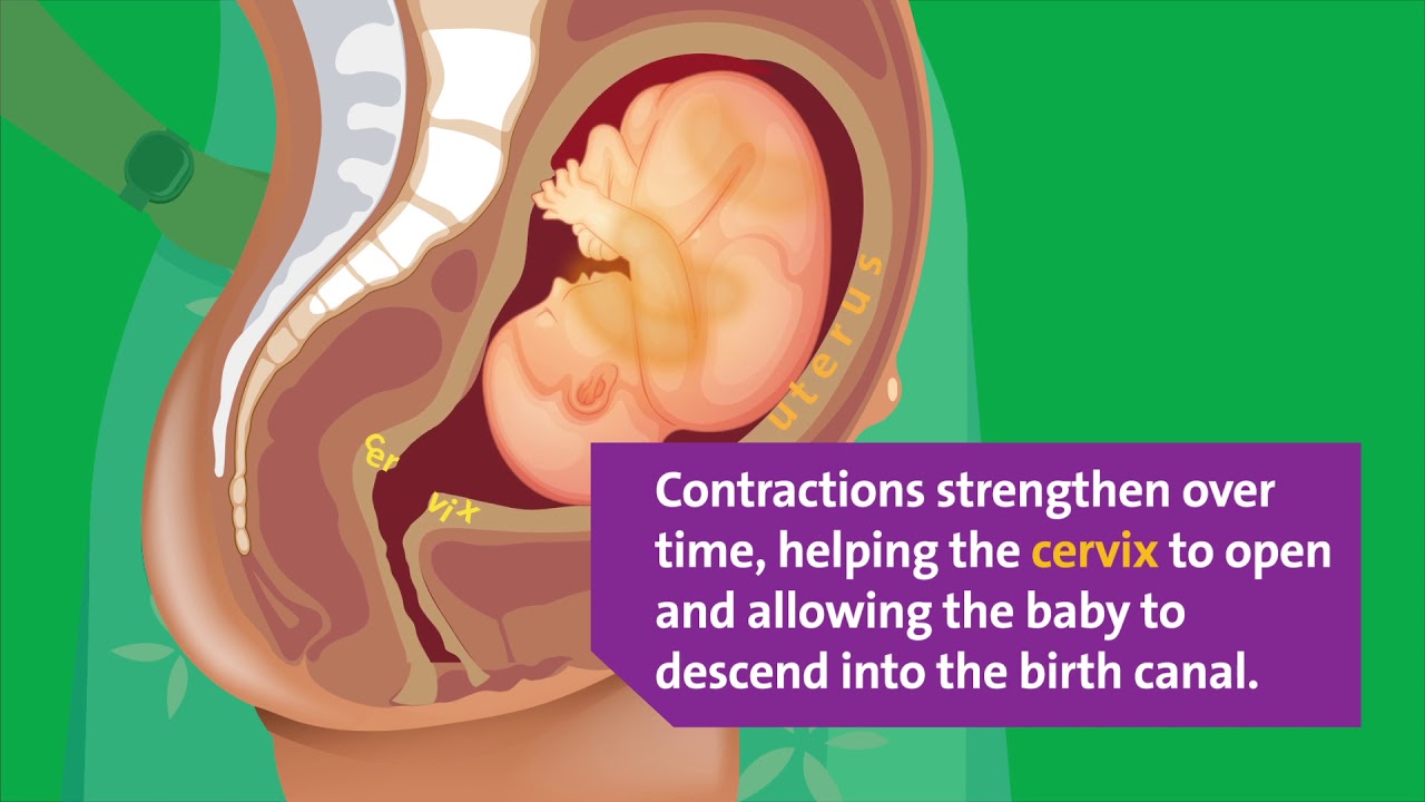 What Happens During Labor Contractions?