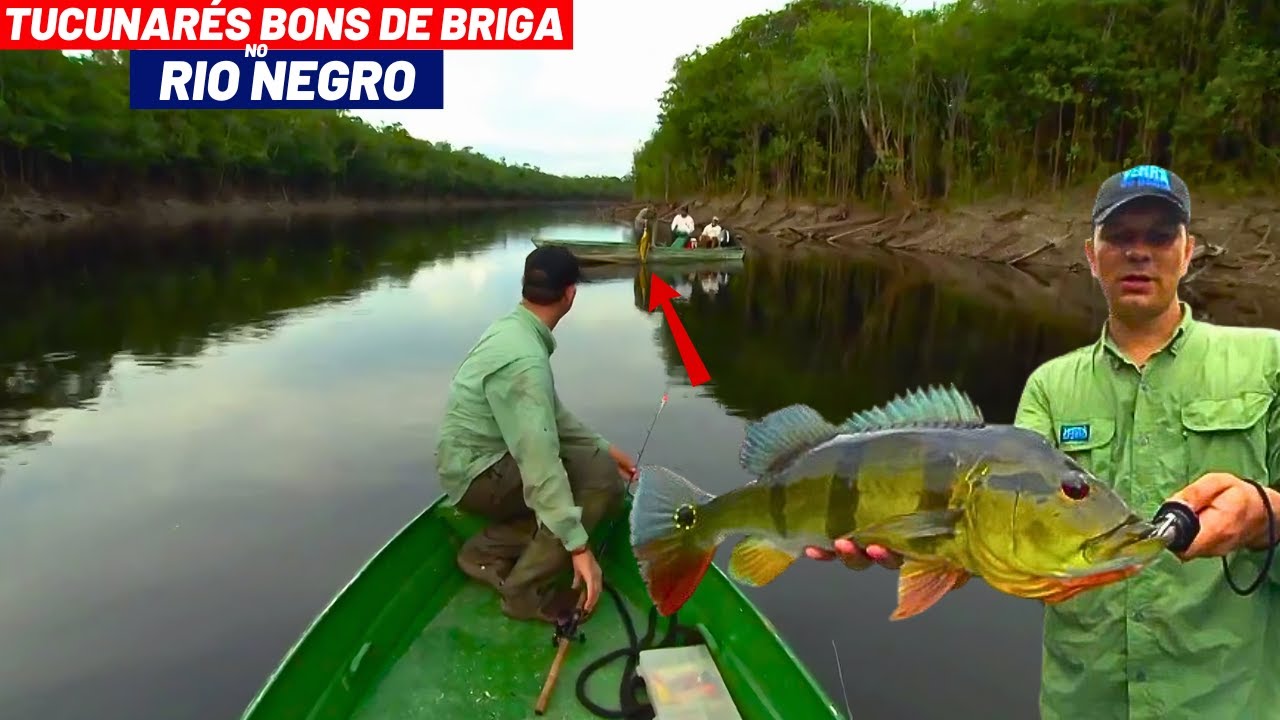 SE PREPARA QUE A AVENTURA É BOA ATRÁS DOS TUCUNARÉS GIGANTES DO RIO NEGRO