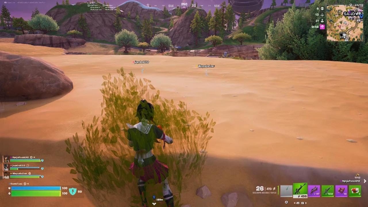 Fortnite_20260223014513