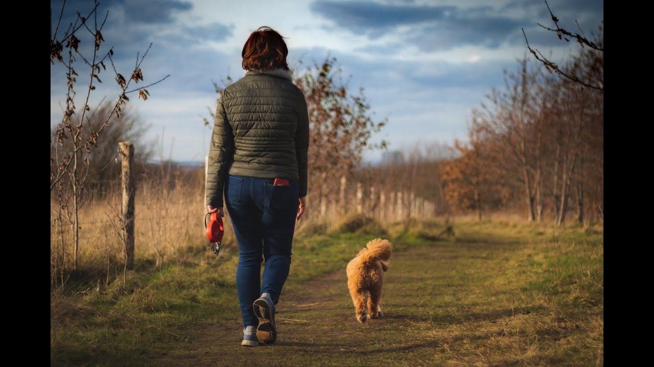 AFFINITY Photo: Tuto 283 ( Outils correcteurs )