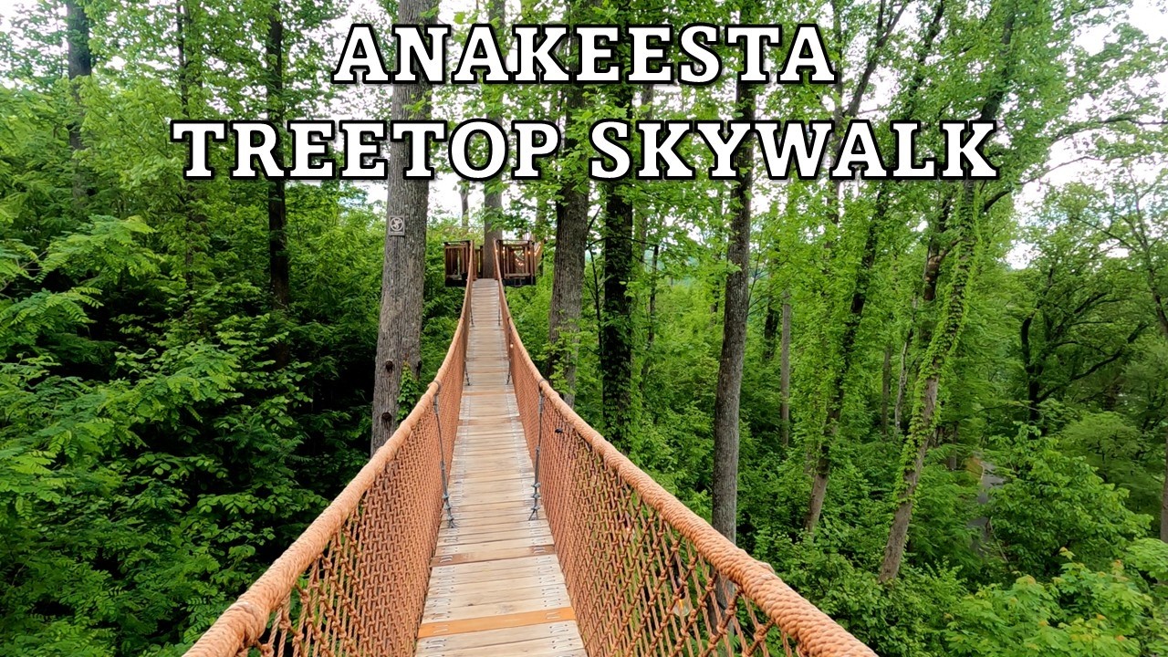 Anakeesta TreeTop Skywalk Walking Tour Gatlinburg, Tennessee 4K