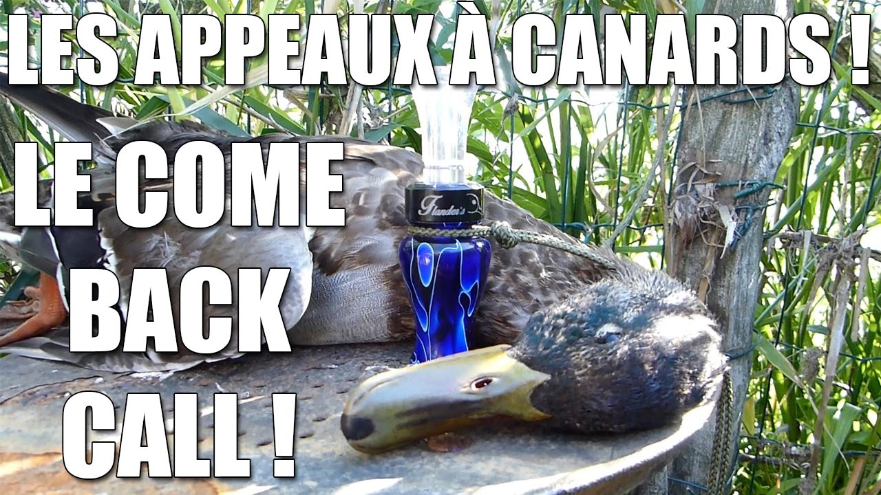 Les Appeaux à Canards (3/4) : Le Come Back Call ! - Marius Chasse