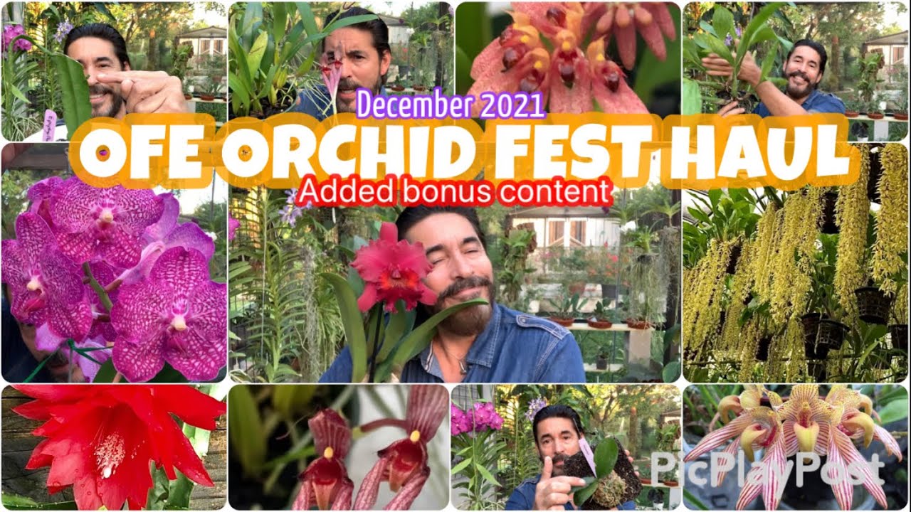 ORCHID FAIR HAUL! Take a look at what I brought back home. Bonus footage and other fun content 🌺
