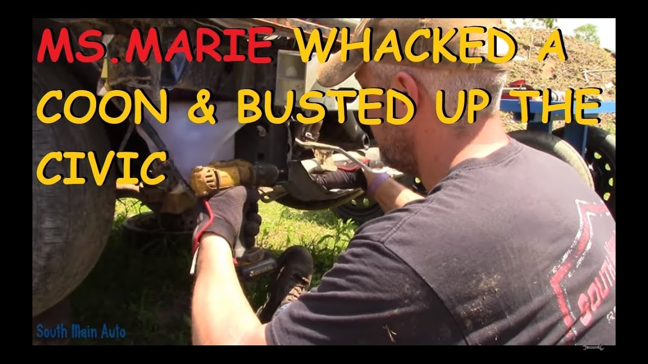 Ms. Marie Hit A Raccoon & Messed Up Her Civic!