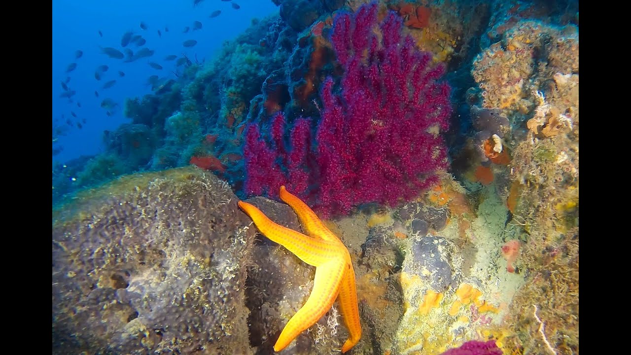 LA SCOPERTA LO SCOGLIO DEL TATO