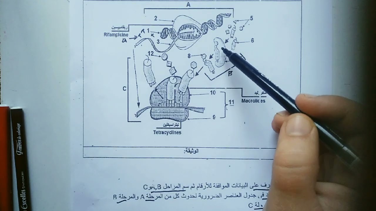 تمرين رائع لتحضير اختبار الفصل الاول في مادة العلوم باك 2025
