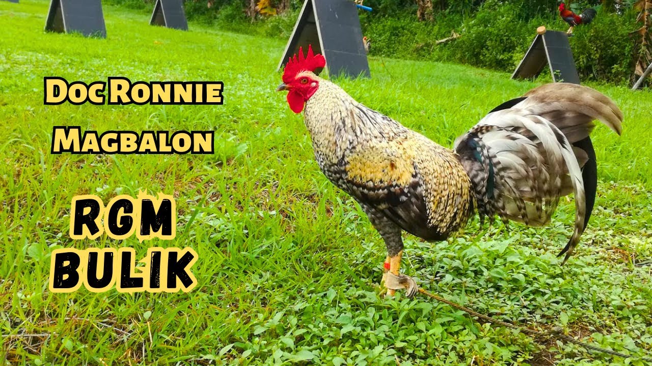 Doc Ronnie Magbalon | RGM Bulik | WGE 2023 Poultry Expo