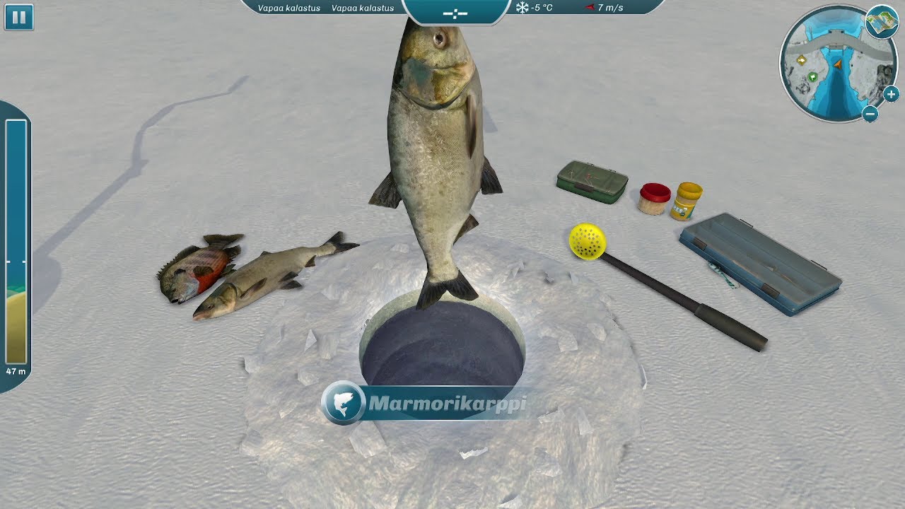 Hunting my first rainbow trout or salmon – but marble carp stole the show! 🎣 | Dam