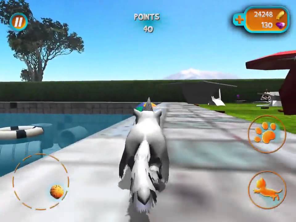 Crazy Cat at Pool Party 🐱🤭😬