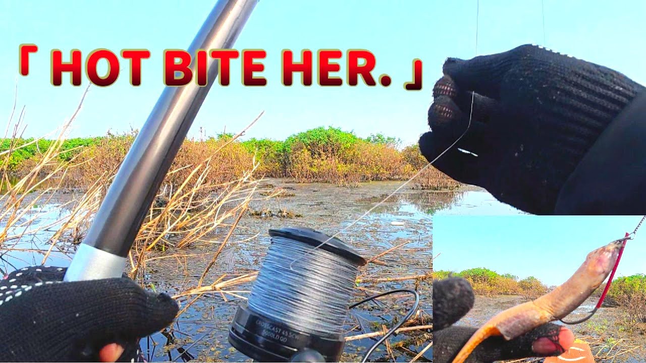 Hot Bite at This Spot! #fishing 🔥