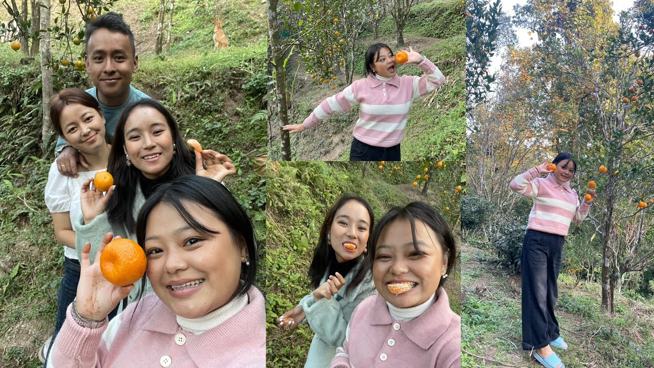 Wonderful tour in Sittong Orange Garden with Didi Vinaju🍊👌//Such a Magical Place 😘❤️