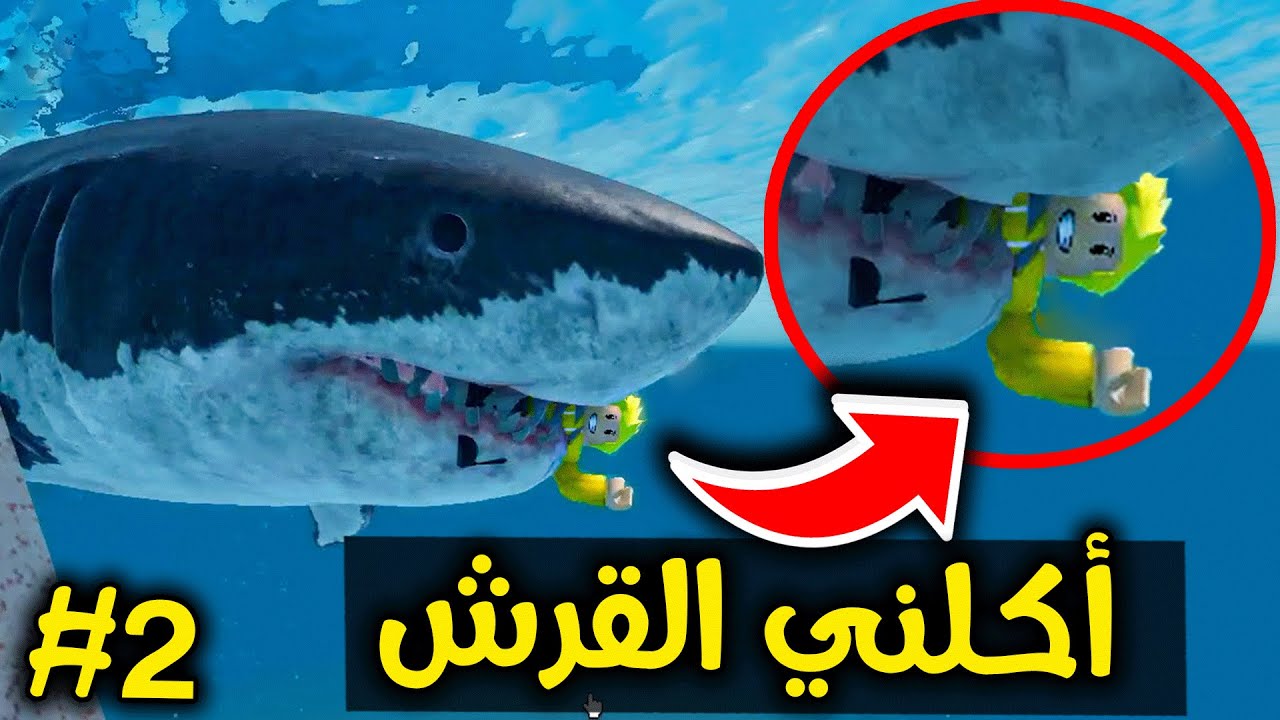لؤي ضد القرش🦈😨!! ROBLOX