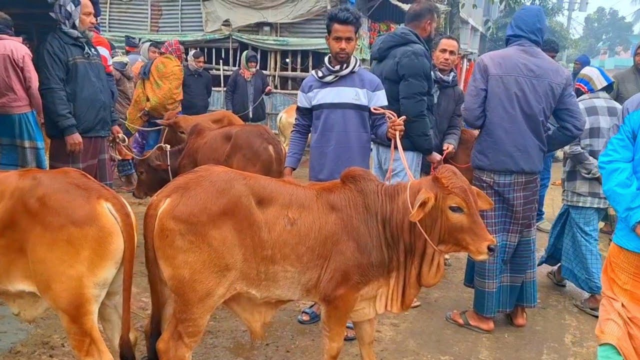 @আজ ২৮ ফেব্রুয়ারী