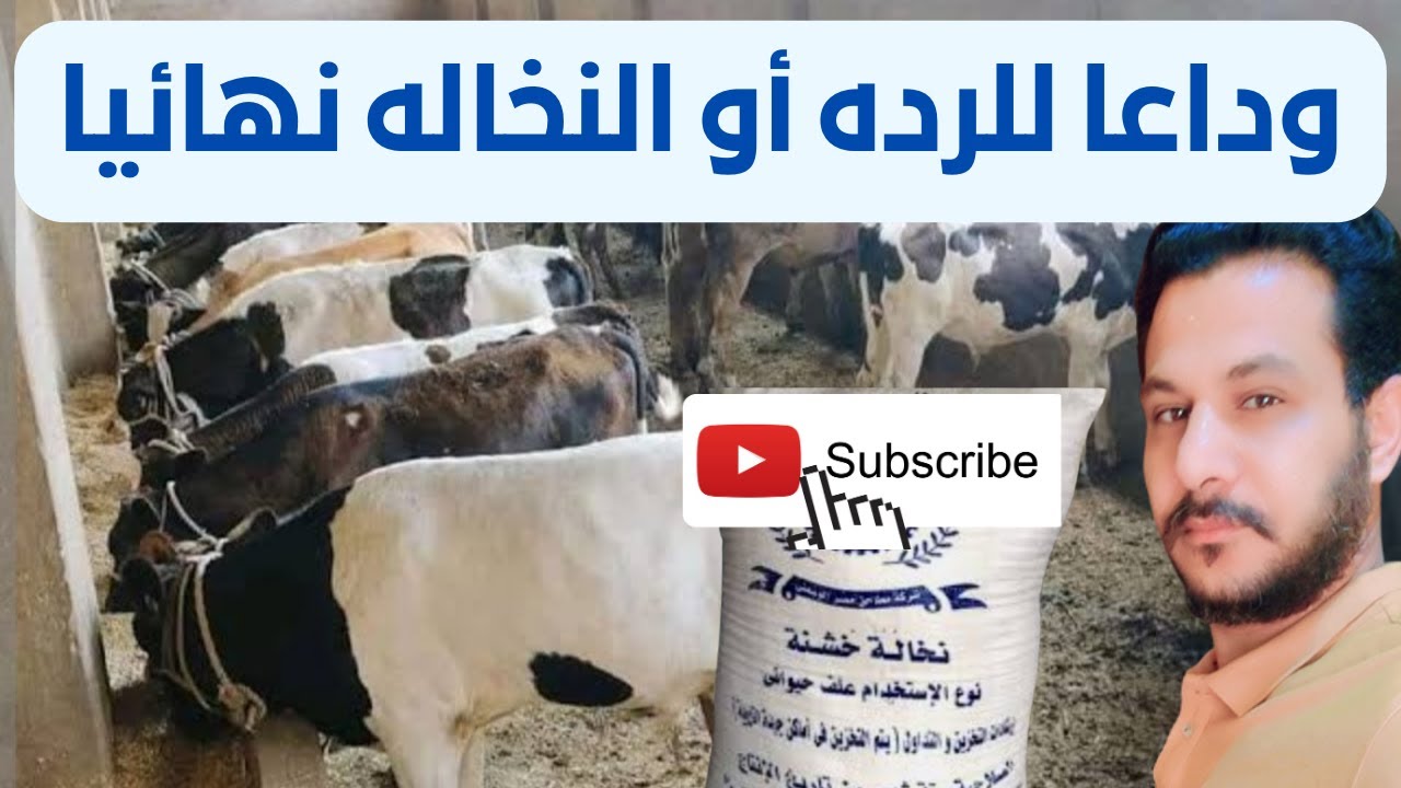 وداعا للرده أو النخاله وخلطات اعلاف بدون رده نهائيا