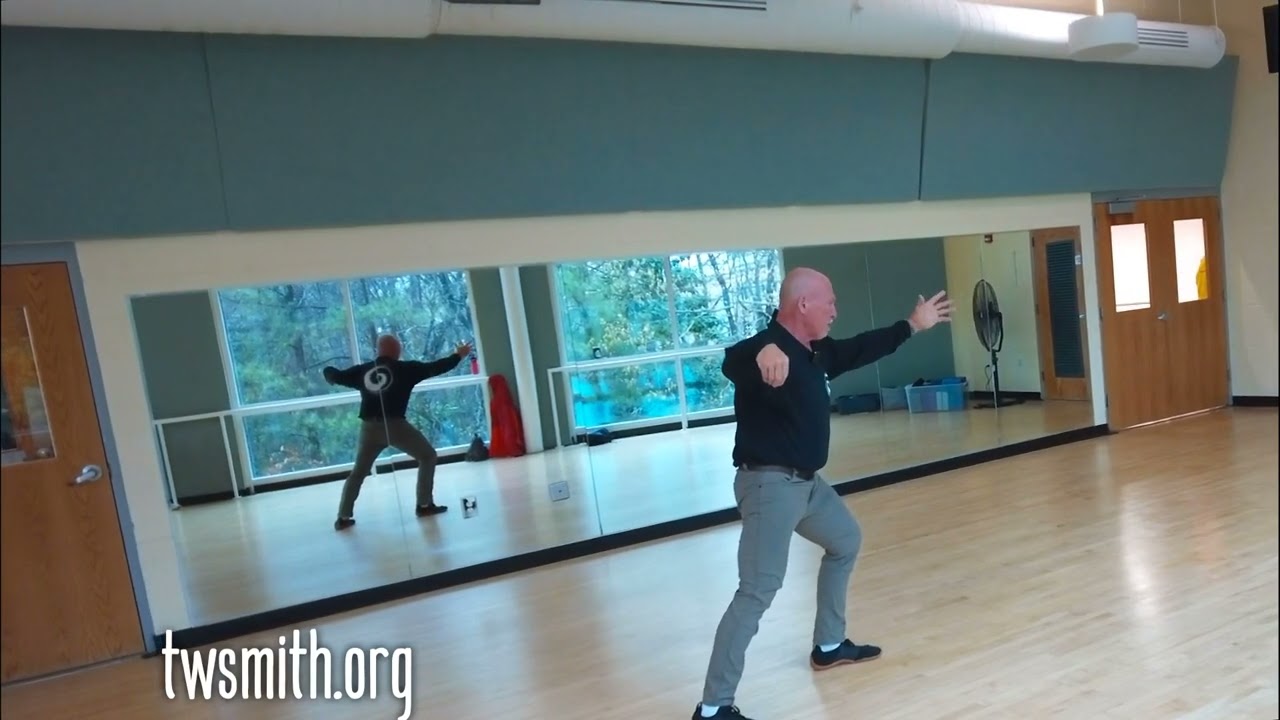 Tai Chi 48 Techniques 1-10