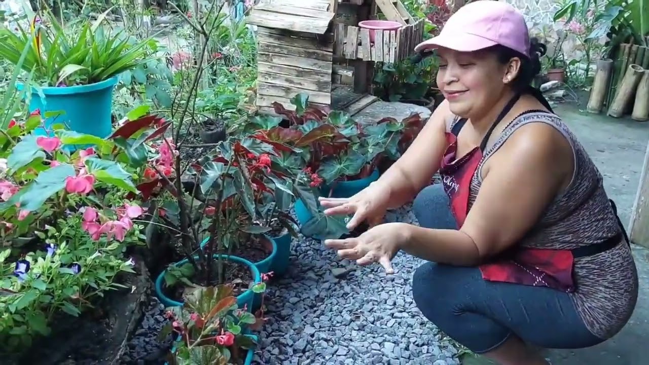 Compartiendo como reprudusco las plantas