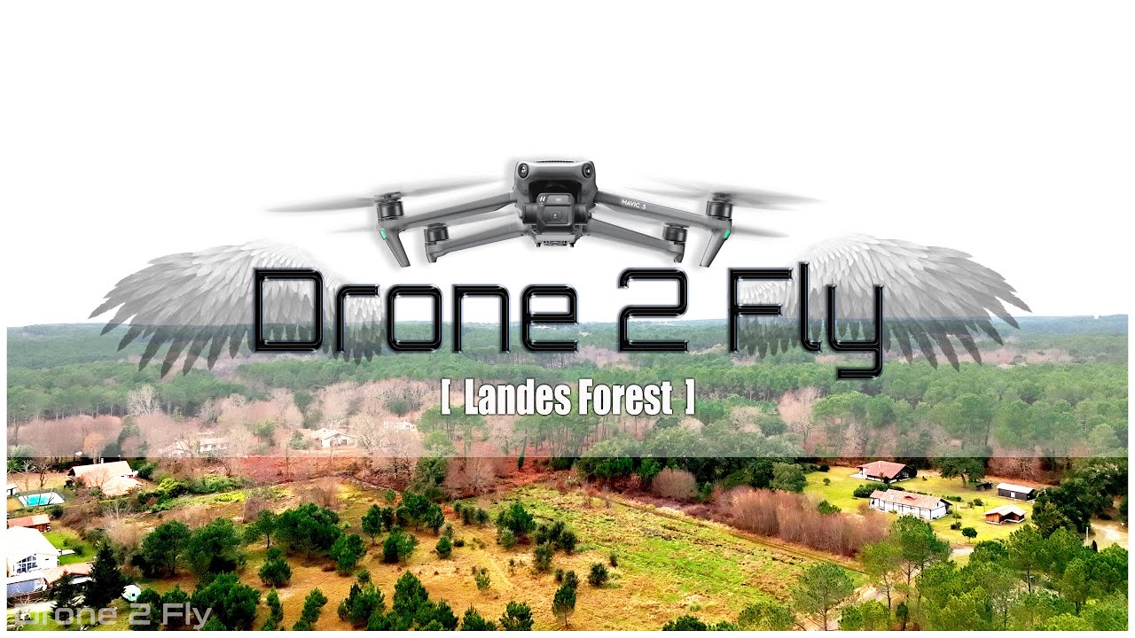 FLYING OVER LANDES FOREST [4K UHD] Ambient Drone Film + Music