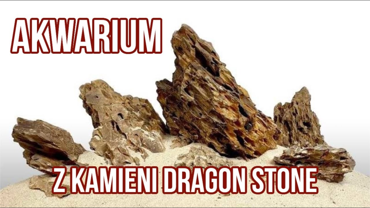 Hardscape w Małym Akwarium: Kamienie Dragon Stone