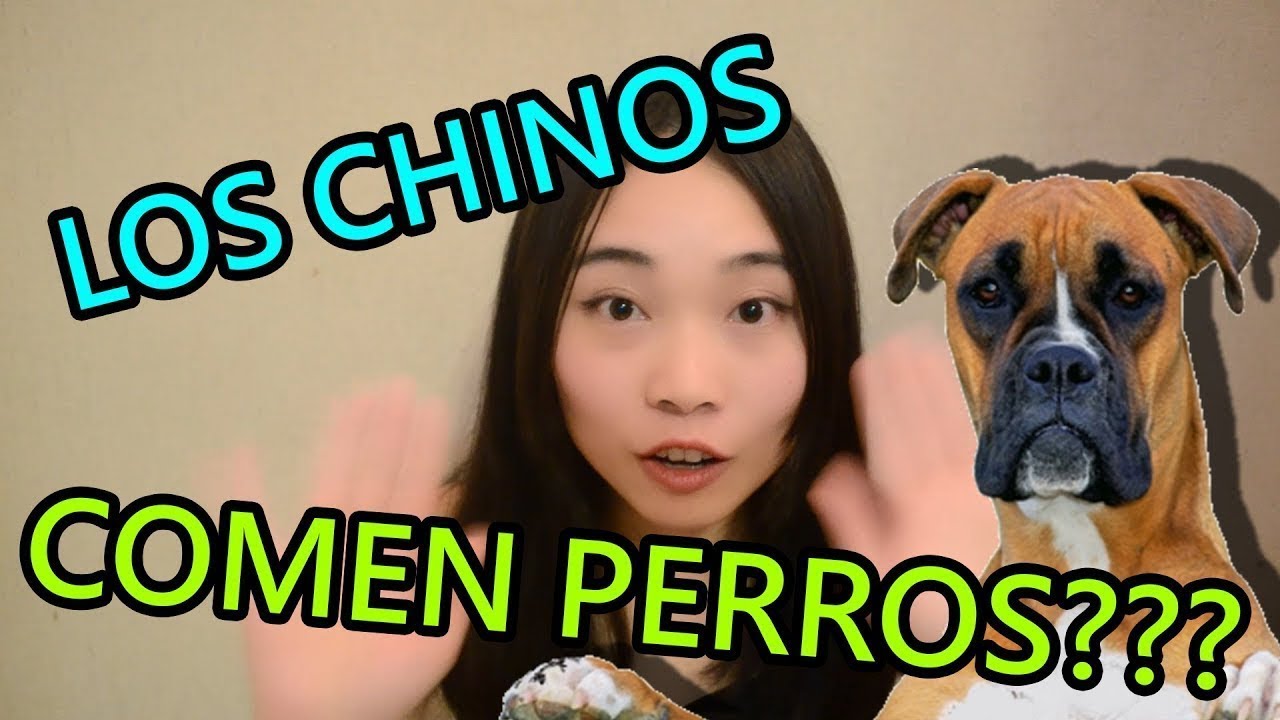 LOS CHINOS COMEN PERROS? - Tres PREGUNTAS que nos hacen A LOS CHINOS ⭐ Eva Chinita