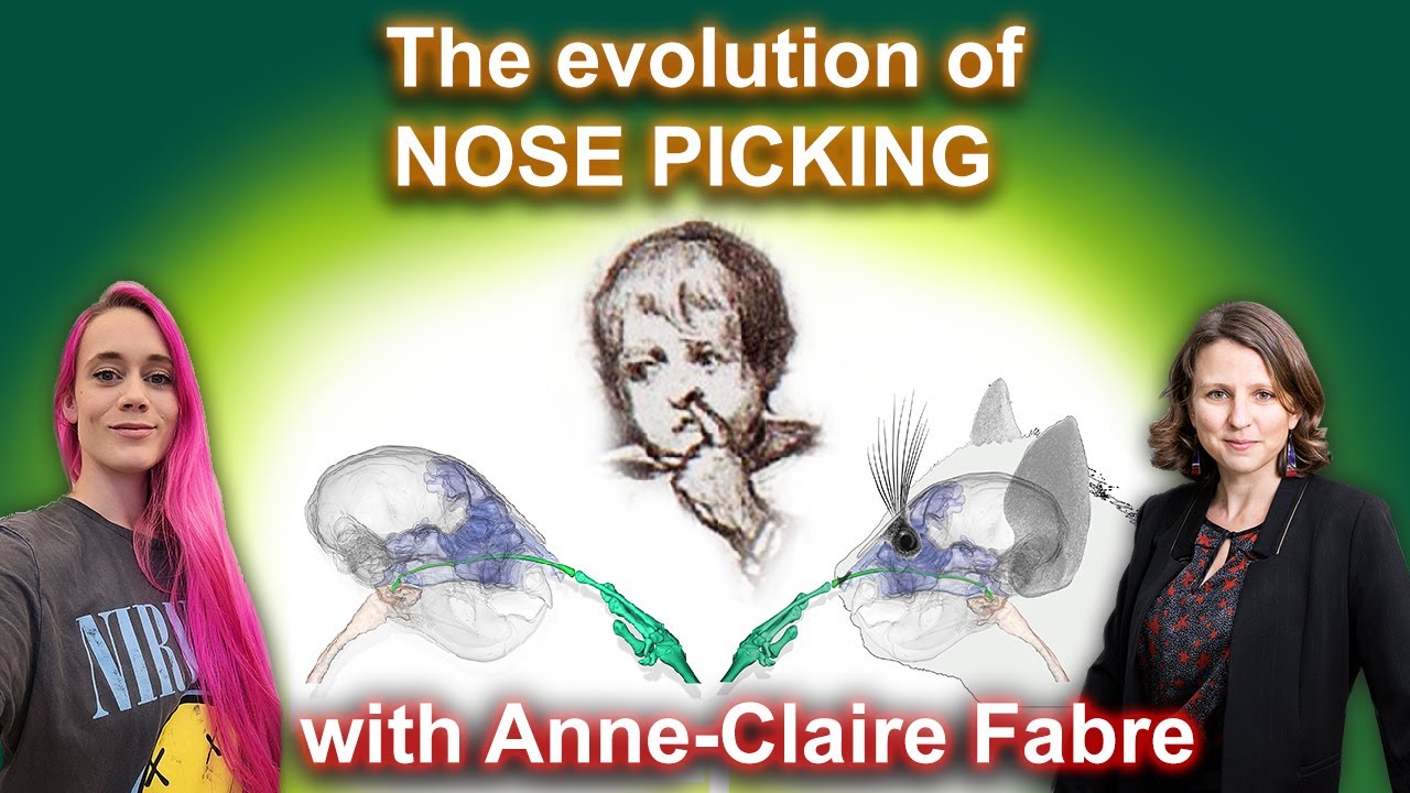 Can I pick your brain on nose picking?