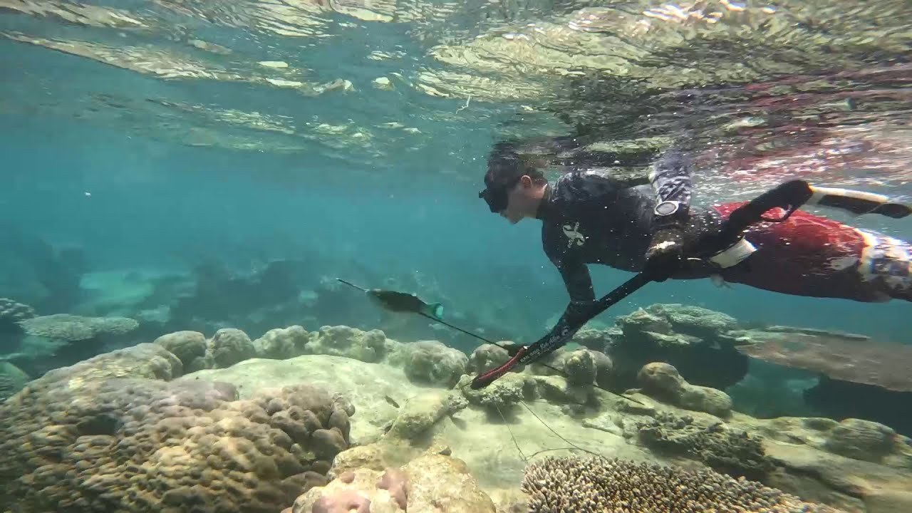 Anambas, Riau Islands, Indonesia Expedition from Singapore (with commentary)