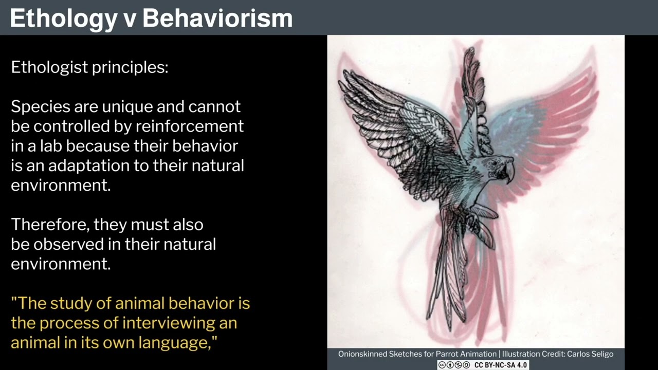 9. Human Behavioral Biology: Ethology 1 by Robert Sapolsky