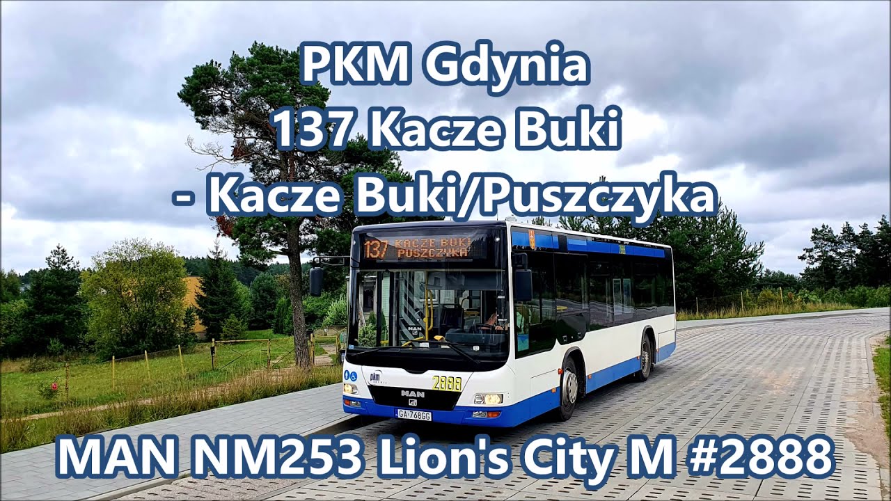 PKM Gdynia - linia 137, MAN NM253 Lion's City M #2888