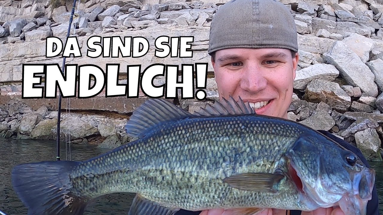 Angeln auf Schwarzbarsch mit Chebu und Krebse am Ebro | Forellenbarsch / Black Bass