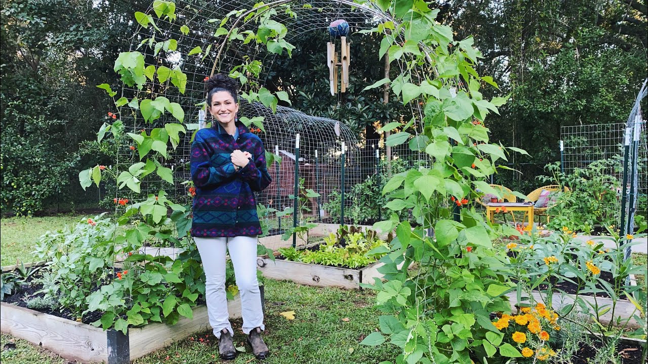 Fall and Winter Garden Tour| North Florida Gardening