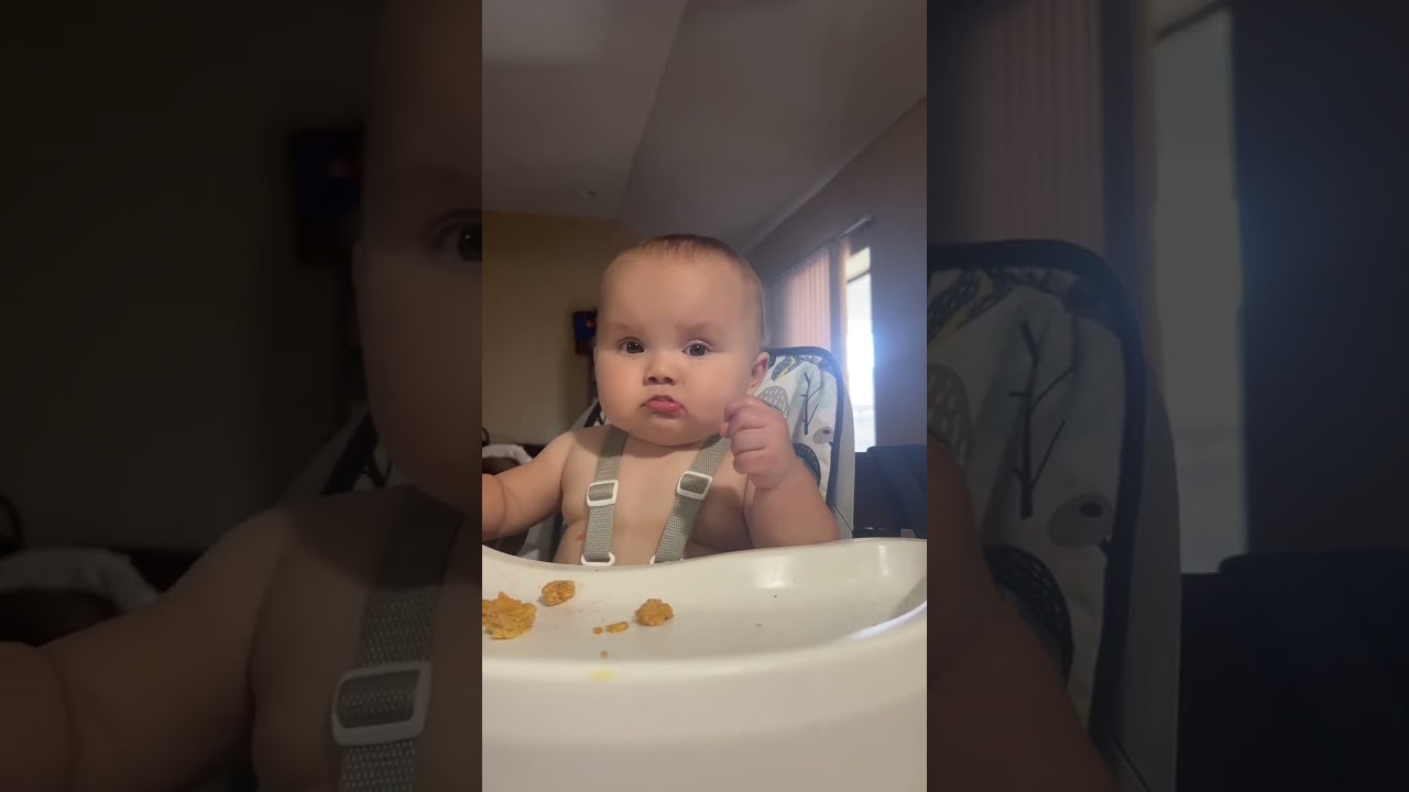 Watch Lyla eat her sweet potato and oats patties. 