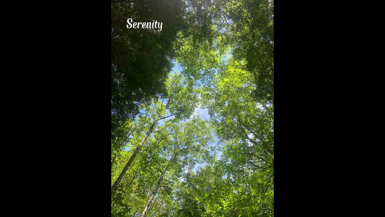 Serenity by Makenna Barnett