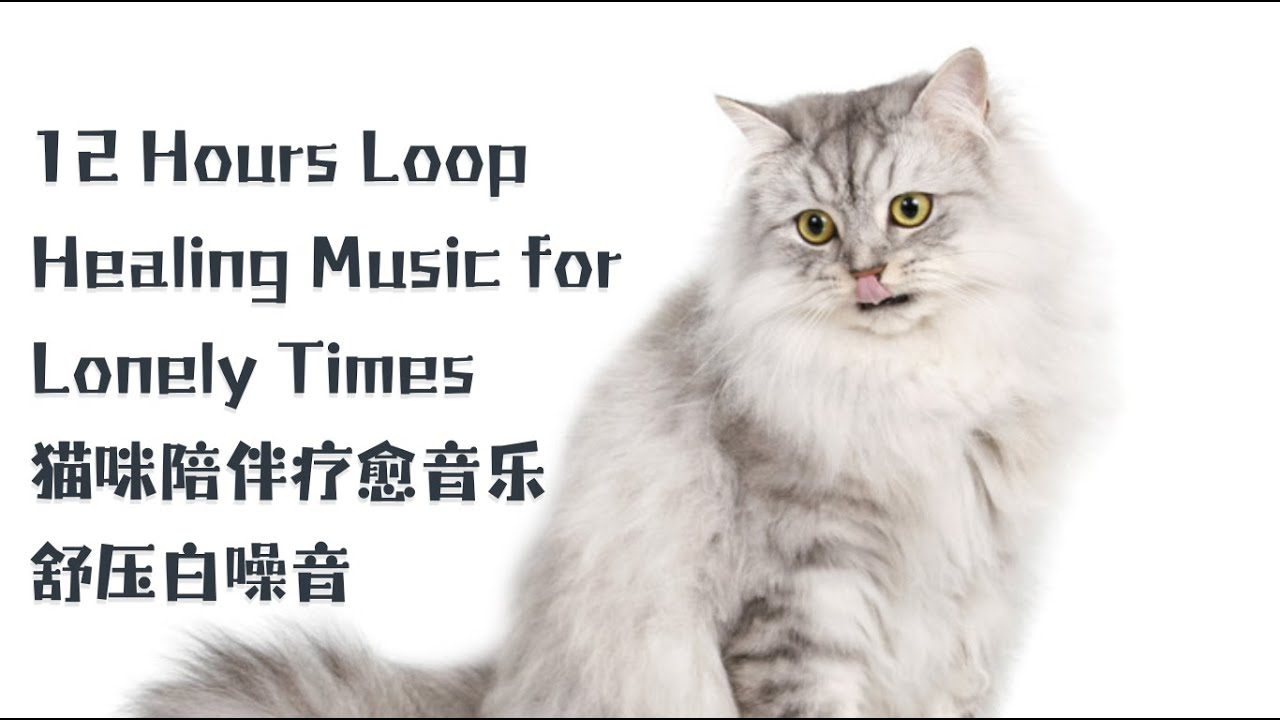 No Ads | Healing Music For Lonely TImes | Loop｜孤独的陪伴治愈繫放鬆輕音樂靜心專注不焦慮｜貓咪應激舒壓必听