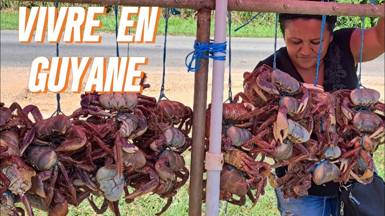 Daily Vlog - Petit tour au Centre ville de CAYENNE en GUYANE Française 2024