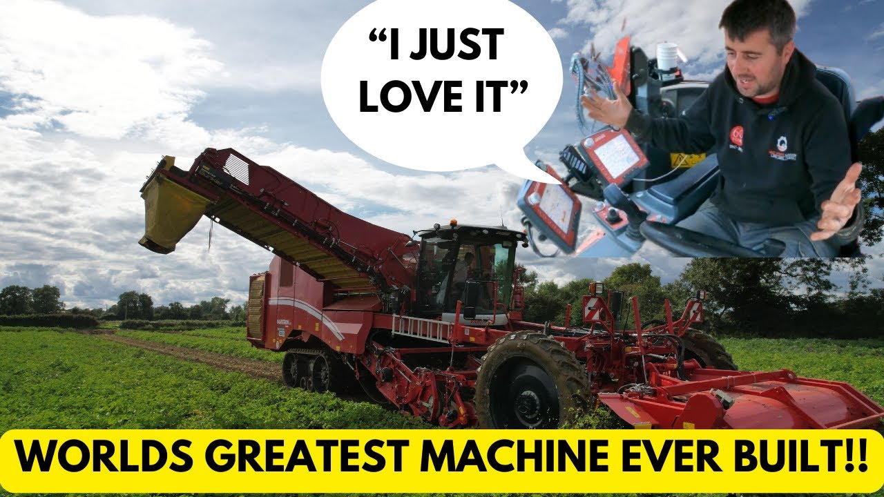 POTATO HARVEST 2023