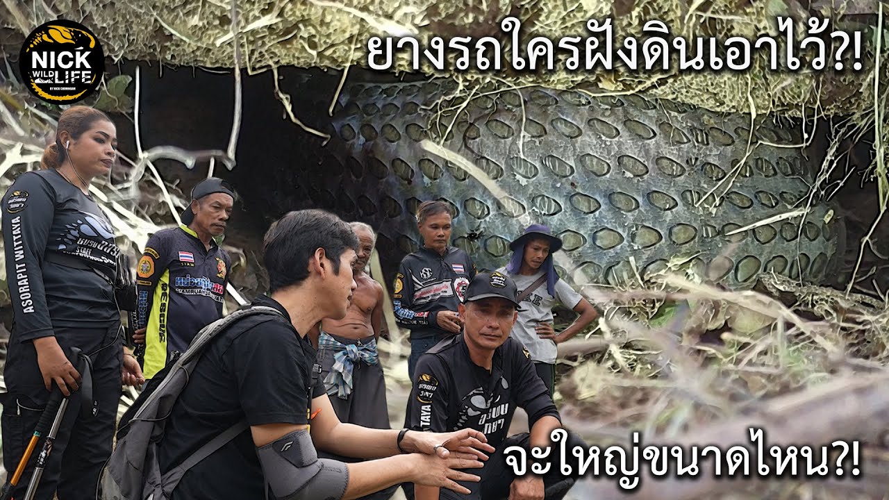 ลุยดิบ EP.43 ยางรถใครฝังดินเอาไว้? มันจะใหญ่แค่ไหน!!