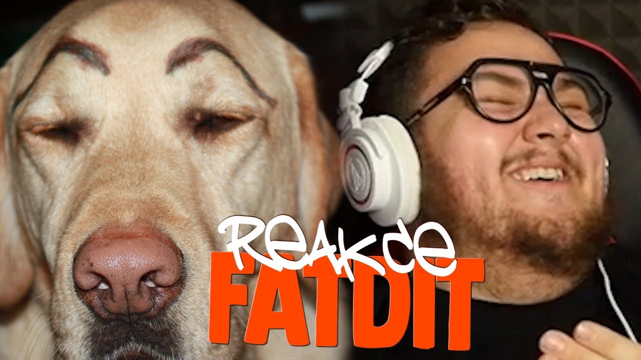FUNNY NEBO CRINGE?