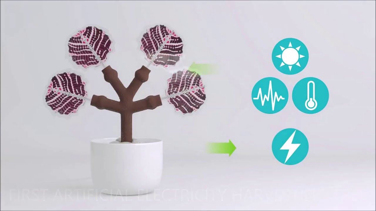 Electricity Harvesting Trees   Power Plant Forest