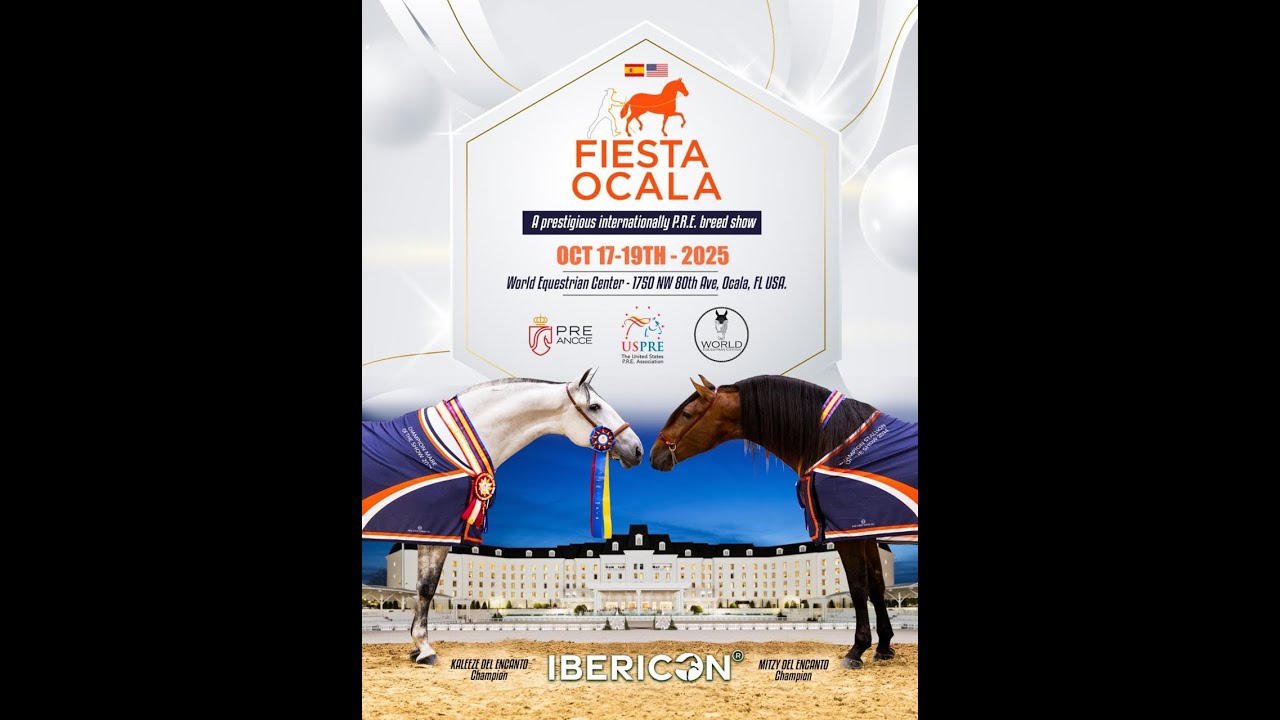 Concurso Morfológico PRE ANCCE  -  Fiesta Ocala 2025