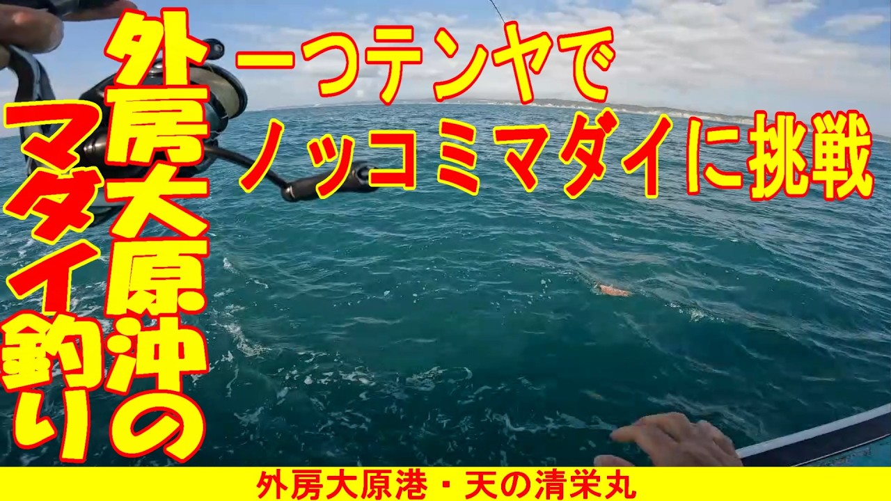 【一つテンヤマダイ】一つテンヤでノッコミマダイに挑戦。激渋の大原沖で誘導式への変更が的中！本命を絞り出した修正力！～外房大原港・天の清栄丸 [ENG/KOR SUB] #釣り #大原港 #マダイ