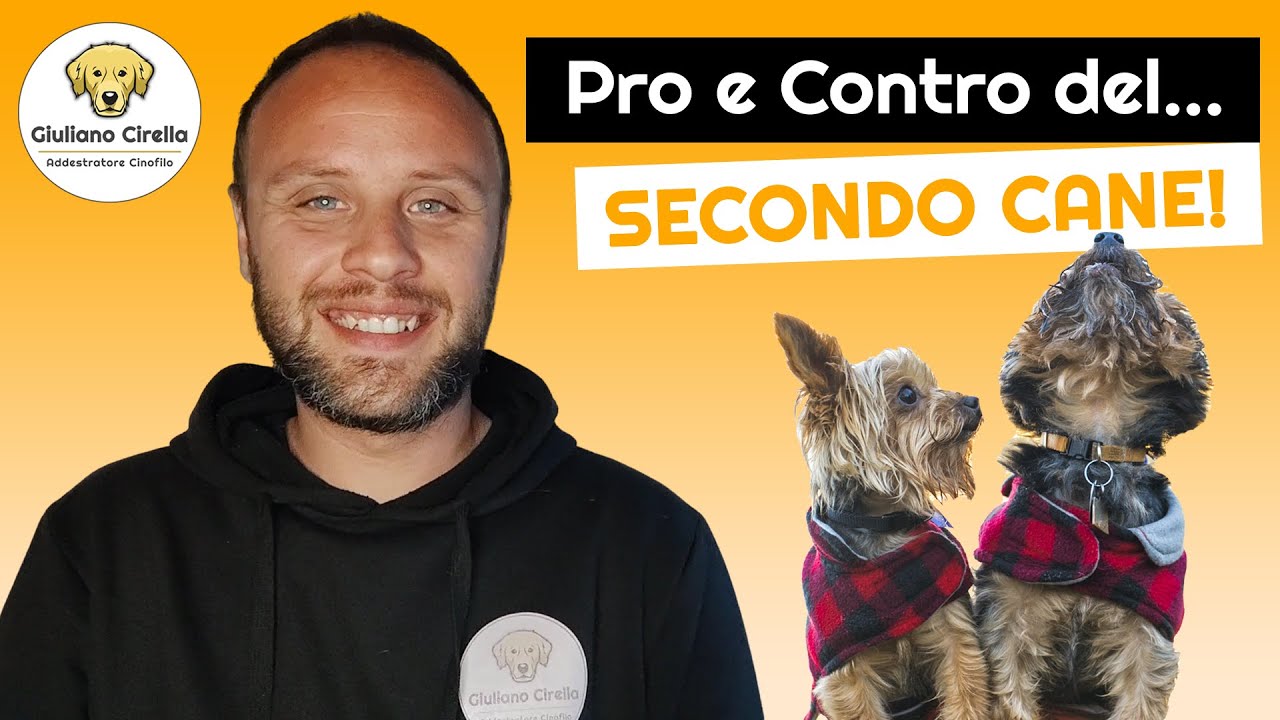 🐶 Prendere un Secondo Cane: Pro e Contro | Giuliano Addestratore