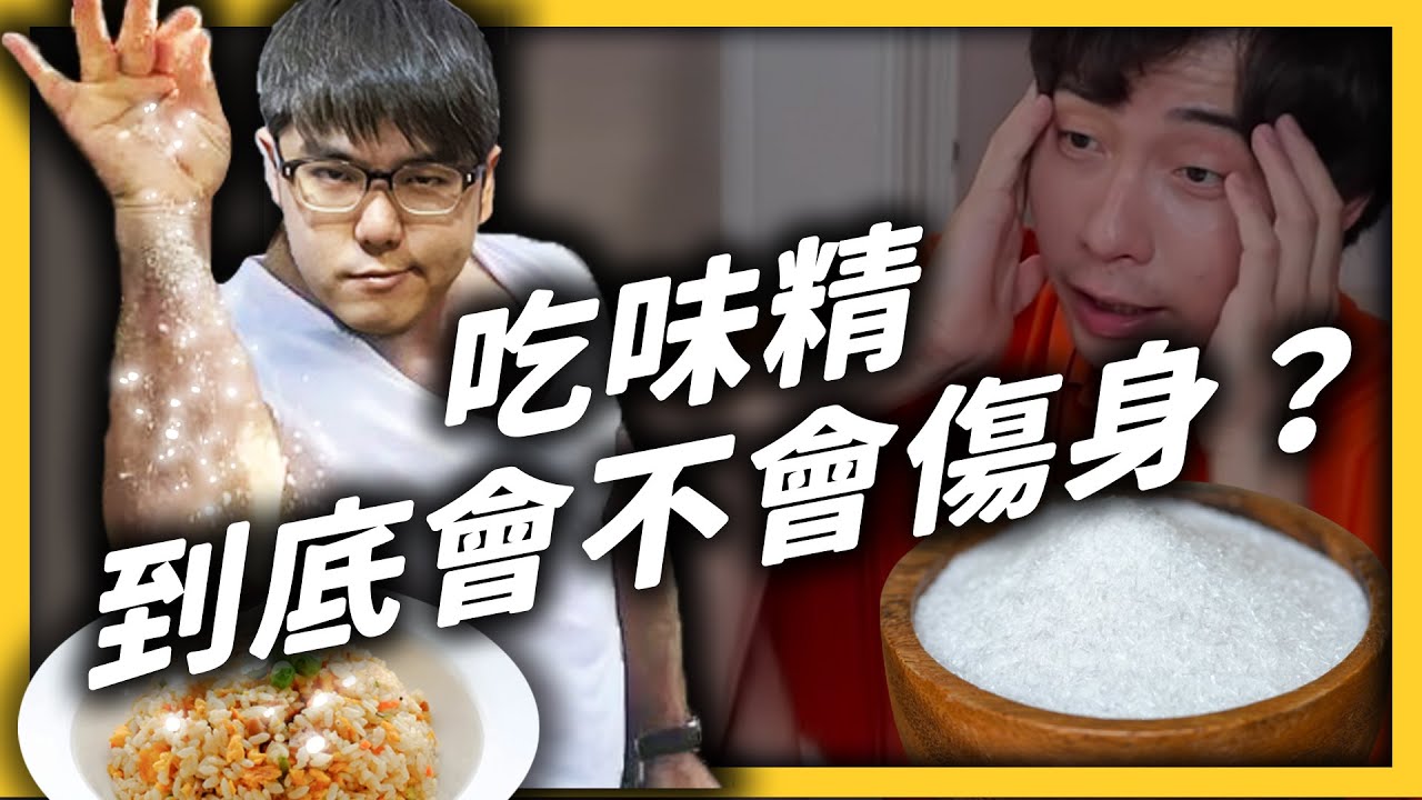 味精曾是最潮的調味料，為何卻跌落神壇？鮮味背後的身世，可能比你想的更曲折！《食物知識大拼盤》EP 015｜志祺七七