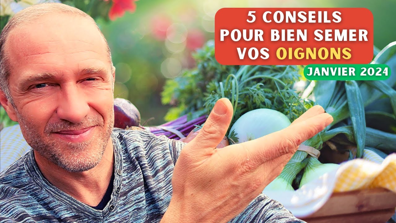 Bien semer ses oignons au potager - Janvier 2024