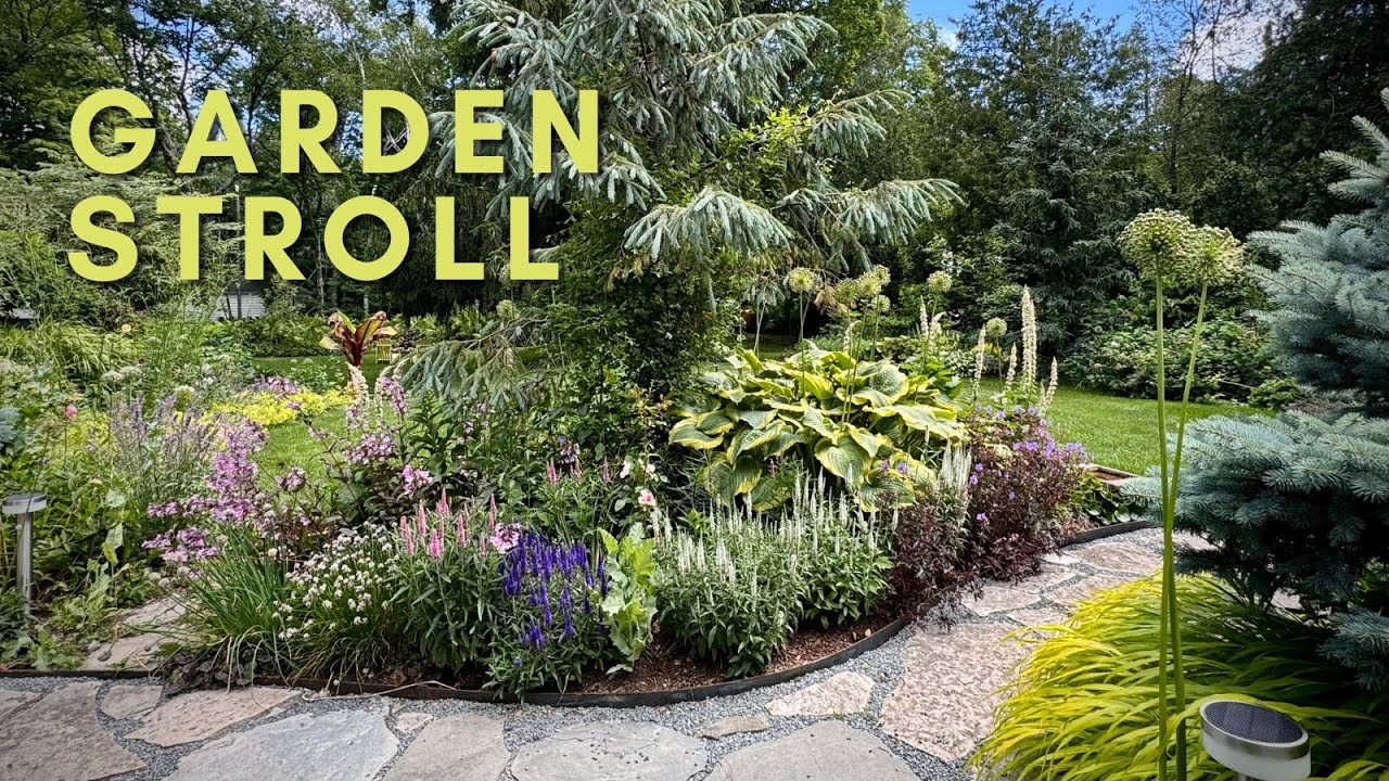 Summer at last! 🌿 Unedited garden stroll 🌿 June 30, 2024
