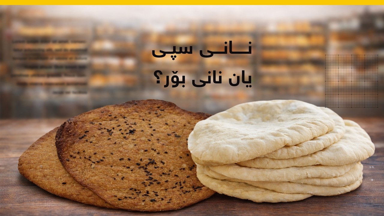 نانی سپی یان نانی بۆر؟